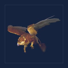 Griffin | Lvl 362 | Top Stats