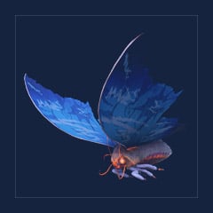 Lymantria | Lvl 362 | Top Stats