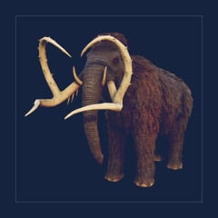 Mammoth | Lvl 362 | Top Stats