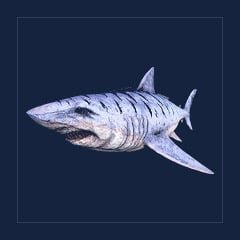 Megalodon | Lvl 362 | Top Stats