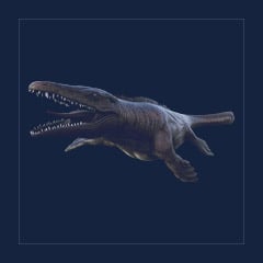 Mosasaurus | Lvl 362 | Top Stats