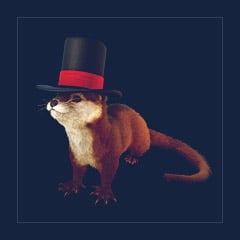 Otter | Lvl 362 | Top Stats