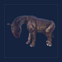 Paraceratherium | Lvl 362 | Top Stats