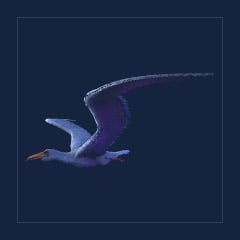 Pelagornis | Lvl 362 | Top Stats