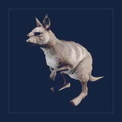 Procoptodon | Lvl 362 | Top Stats