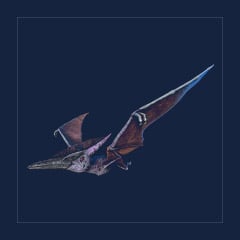 Pteranodon | Lvl 362 | Top Stats