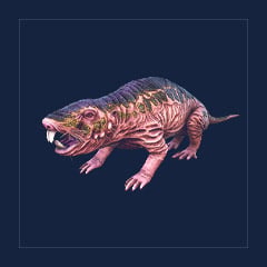 Roll Rat | Lvl 362 | Top Stats