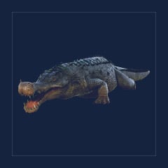Sarco | Lvl 362 | Top Stats