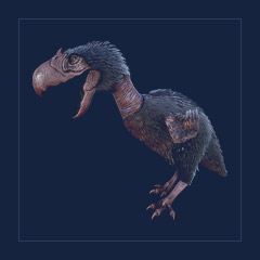 Terror Bird | Lvl 362 | Top Stats