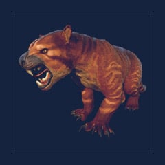 Thylacoleo | Lvl 362 | Top Stats