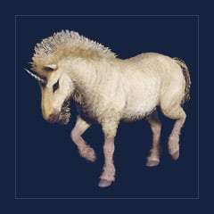 Unicorn | Lvl 362 | Top Stats