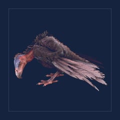 Vulture | Lvl 362 | Top Stats