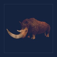 Woolly Rhino | Lvl 362 | Top Stats