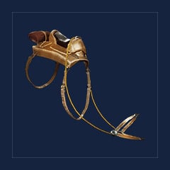 Ceratosaurus Saddle