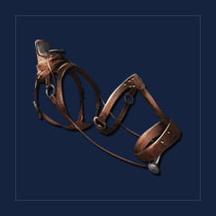 Chalicotherium Saddle