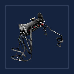 Desmodus Saddle