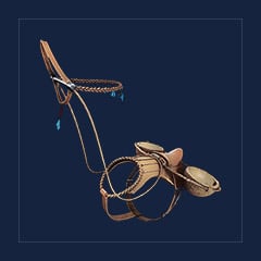 Gigantoraptor Saddle