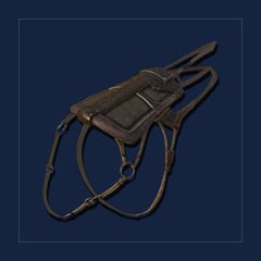 Ichthyosaurus Saddle