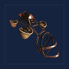 Maeguana Saddle