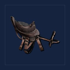 Pachy Saddle