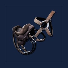 Procoptodon Saddle