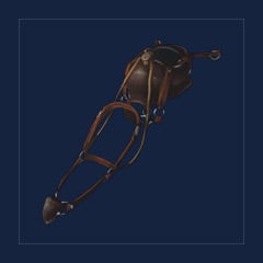 Pteranodon Saddle
