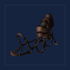 Raptor Saddle