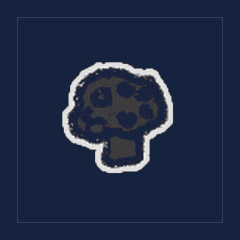 Black Truffle Mushroom