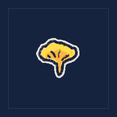 Chanterelle Mushroom