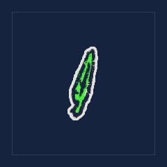 Lanceolate Leaf