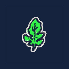Lyrate Leaf