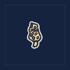 Morel Mushroom