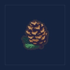 Pinecone