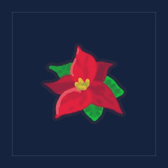 Poinsettia