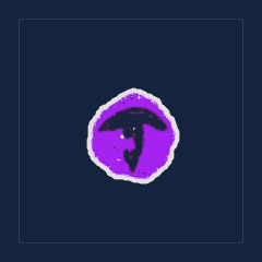 Precise Eye