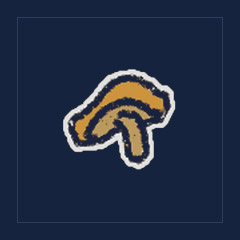 Shiitake Mushroom