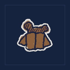 Shy Brown Bear