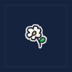 Small White Daisy