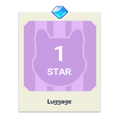 Luggage