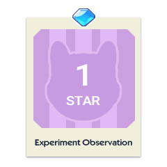 Experiment Observation
