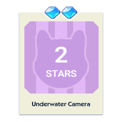 Underwater Camera