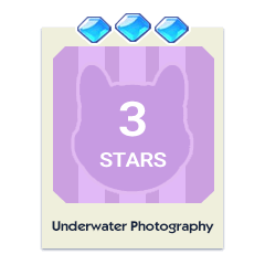 Underwater Photography