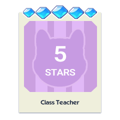 Class Teacher