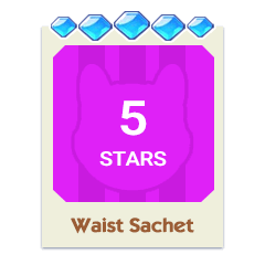 Waist Sachet