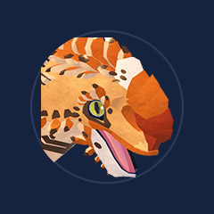 Buukon