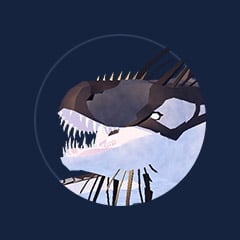 Magnacetus