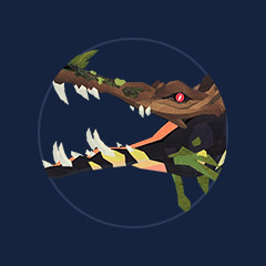 Nymphasuchus