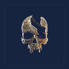 Chipped Skull