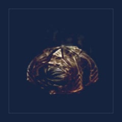 Malignant Heart