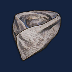 Pioneer`s Scarf